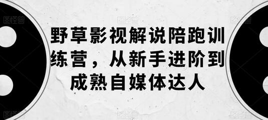 野草影视解说陪跑训练营：新手到自媒体达人的进阶之路-无双副业