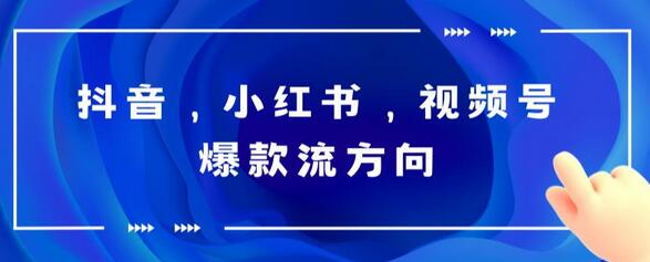 爆款视频制作技巧，轻松掌握抖音小红书视频号流量密码-无双副业