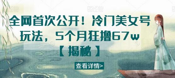 冷门美女号玩法揭秘，5个月狂赚67万-无双副业