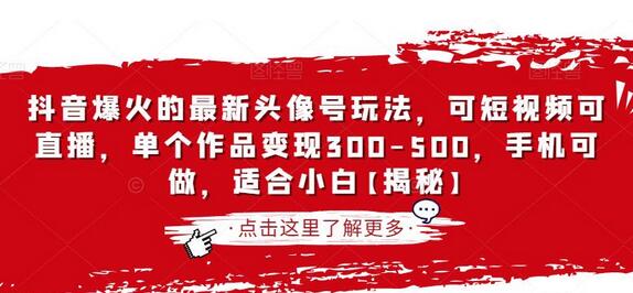 抖音头像号玩法：短视频与直播双频共振，小白也能轻松变现-无双副业