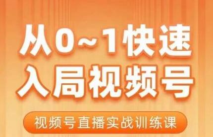 陈厂长视频号直播实战训练课，从0到1快速入局-无双副业