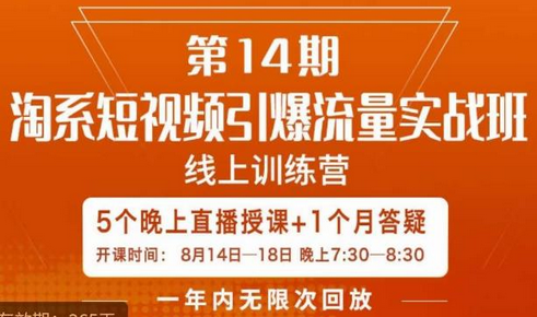 南掌柜淘系短视频引爆流量实战班，掌握短视频流量入口-无双副业