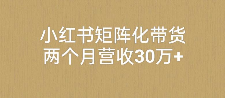 小红书矩阵化带货策略，两个月营收超30万-无双副业