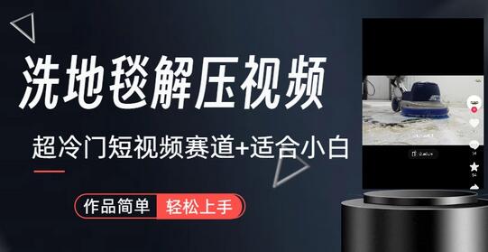 抖音短视频赛道-清洗地毯解压视频制作与变现教程-无双副业