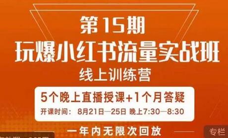 辛言小红书流量实战班：内容营销与种草策略全解析-无双副业