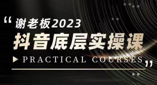 蟹老板2023抖音实操课：短视频底层认知与变现技巧-无双副业