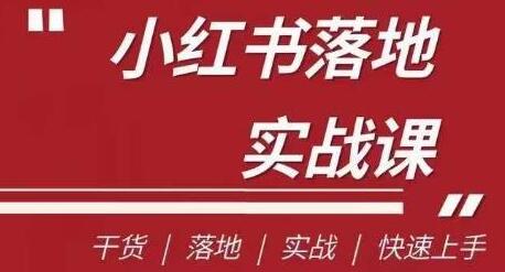 小红书医疗流量落地实战课，快速上手干货分享-无双副业