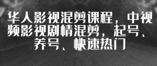 华人影视混剪课程：起号、养号与快速热门技巧-无双副业