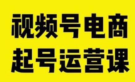 视频号电商运营课：自然流起号与商家突破指南-无双副业