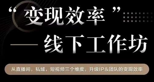 提升IP和团队变现效率的线下工作坊，从直播、私域、短视频三方面入手-无双副业