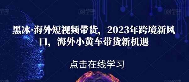 2023年海外短视频带货新风口，跨境小黄车带货机遇解析-无双副业