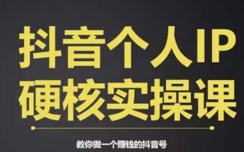 个人IP创富系统实战课：商业定位与短视频变现指南-无双副业
