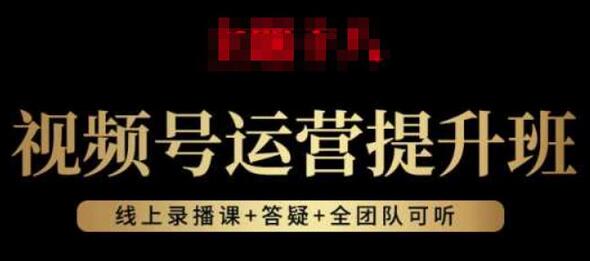 视频号运营提升班：起号逻辑与选品带货技巧-无双副业
