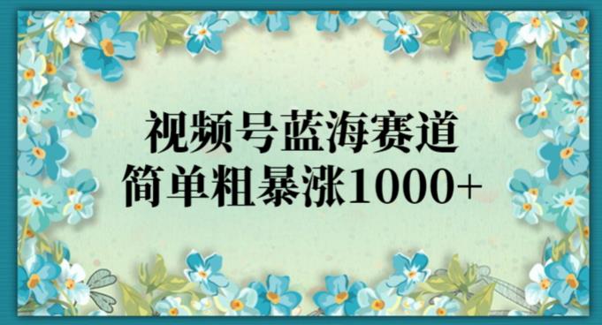 视频号蓝海赛道，轻松涨粉1000+-无双副业