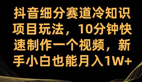 抖音细分赛道冷知识项目玩法，新手小白快速月入1W+-无双副业