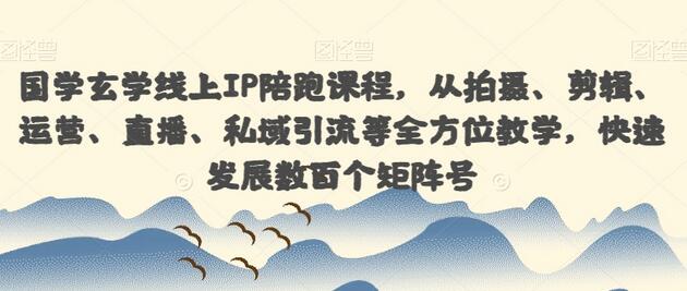 国学玄学线上IP陪跑课程，全方位教学快速打造矩阵号-无双副业