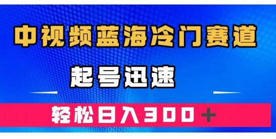 中视频蓝海冷门赛道：韩国奇闻解说，快速起号日入300+-无双副业
