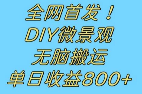 DIY微景观项目：无脑搬运视频日收益800+-无双副业