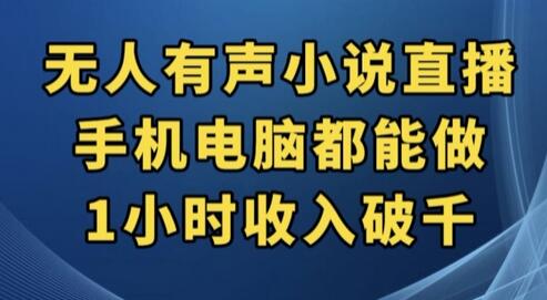 抖音有声小说无人直播项目，1小时收入破千-无双副业