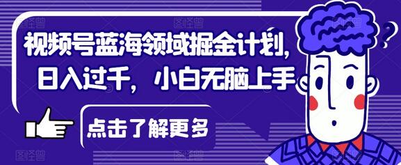视频号蓝海领域掘金计划，小白轻松日入过千-无双副业