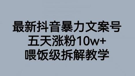 抖音暴力文案号五天涨粉10w+，喂饭级拆解教学-无双副业