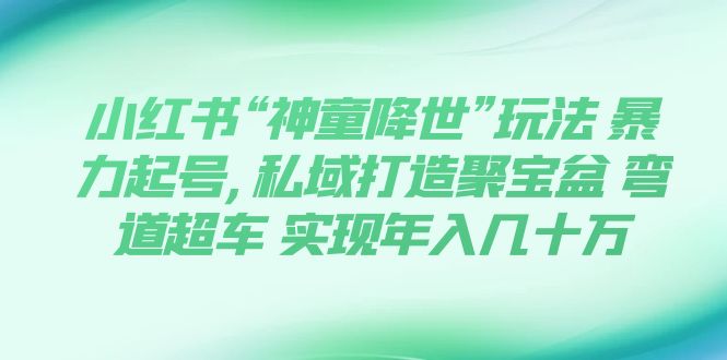 小红书“神童降世”玩法：暴力起号与私域打造实现年入几十万-无双副业