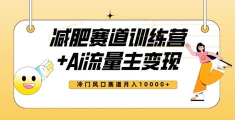 AI流量主+训练营变现教程，减肥赛道轻松月入10000+-无双副业