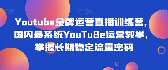 Youtube金牌运营直播训练营，掌握长期稳定流量密码-无双副业