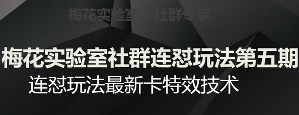 梅花实验室社群连怼玩法与视频号卡特效技术-无双副业