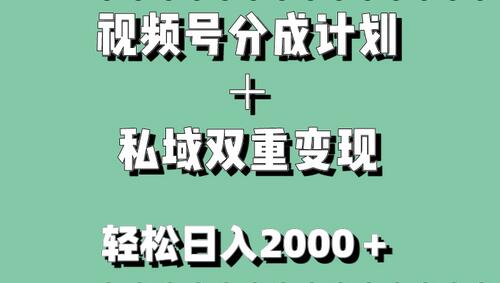 视频号分成计划与私域变现结合，轻松日入1000+，无门槛小白适用-无双副业
