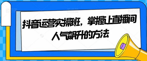 抖音运营实操班：直播间人气飙升技巧-无双副业