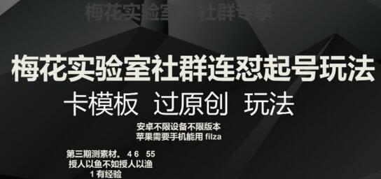 梅花实验室社群连怼起号与卡模板原创玩法详解-无双副业