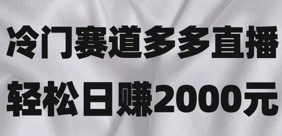 拼多多直播冷门赛道，轻松日收益2000+-无双副业