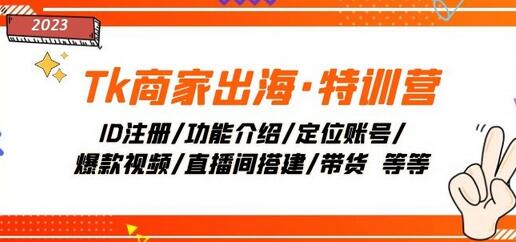 Tk商家出海特训营：账号注册与爆款视频打造全攻略-无双副业