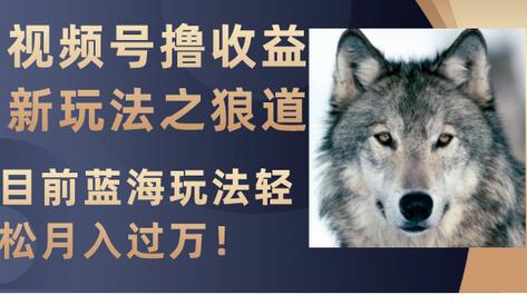 视频号狼道玩法揭秘：轻松月入过万的蓝海策略-无双副业