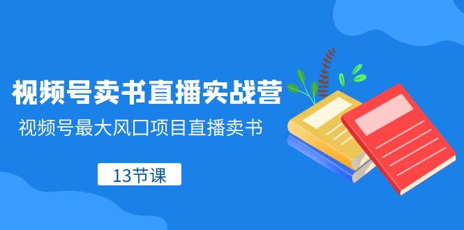 视频号卖书直播实战营：13节课掌握直播卖书技巧-无双副业