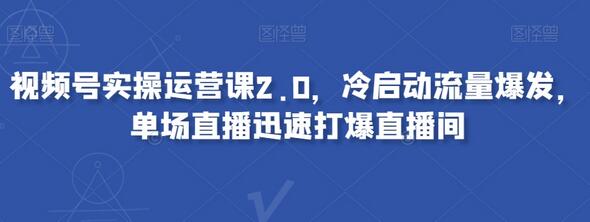 视频号实操运营课2.0：冷启动流量爆发与直播间快速打爆技巧-无双副业