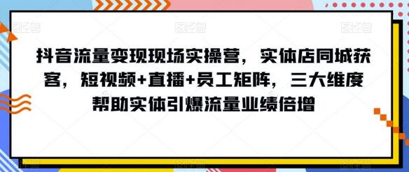 抖音流量变现实操营：实体店同城获客与业绩倍增策略-无双副业