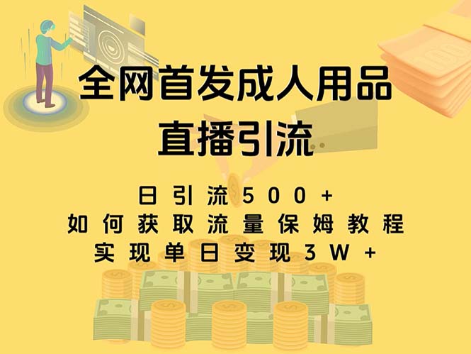 成人用品直播引流获客变现教程，单日变现3w+-无双副业
