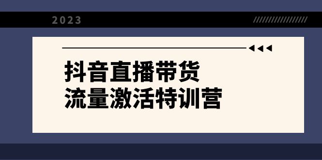 抖音直播带货流量激活特训营，新手主播必学课程-无双副业
