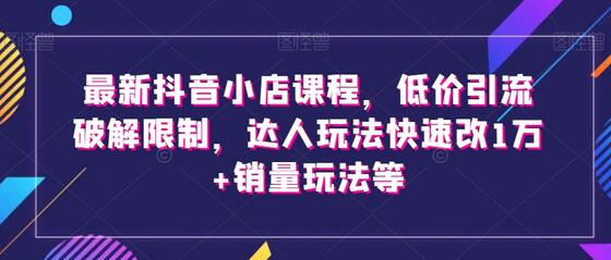 抖音小店课程：低价引流、达人玩法与销量提升技巧-无双副业