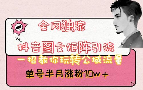 抖音图文矩阵引流技巧，轻松玩转公域流量，快速涨粉10w+-无双副业