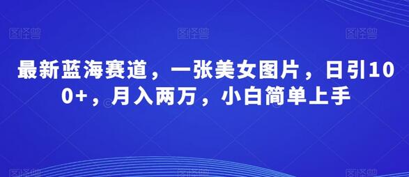 最新蓝海赛道：美女图片日引100+，月入两万，小白轻松上手-无双副业