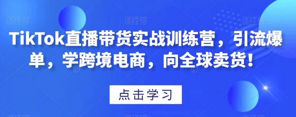 TikTok直播带货实战训练营，跨境电商全球卖货技巧-无双副业
