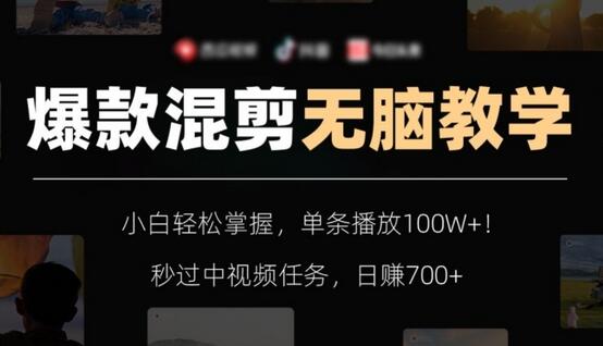 爆款混剪教学，小白轻松掌握，单条播放100W+，日赚700+-无双副业