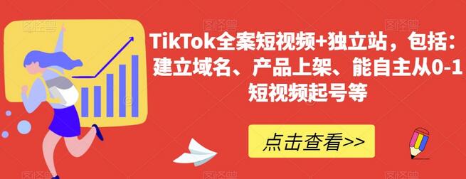 TikTok短视频与独立站全流程指南，从建站到起号-无双副业