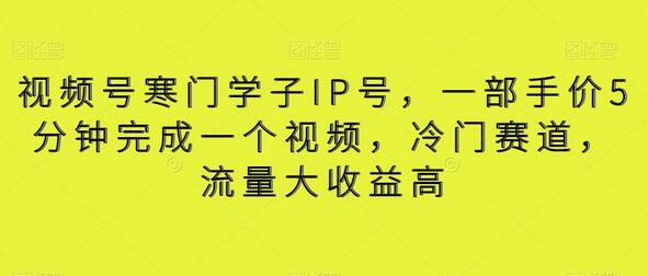 视频号寒门学子IP号制作与变现指南-无双副业