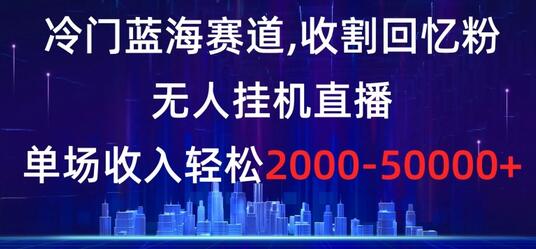 冷门蓝海赛道，无人挂机直播轻松收入2000-5w+-无双副业