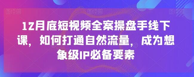 12月底短视频全案操盘手线下课：打通自然流量与IP打造-无双副业