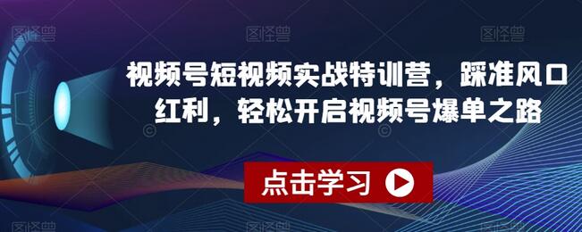 视频号短视频实战特训营，轻松开启爆单之路-无双副业